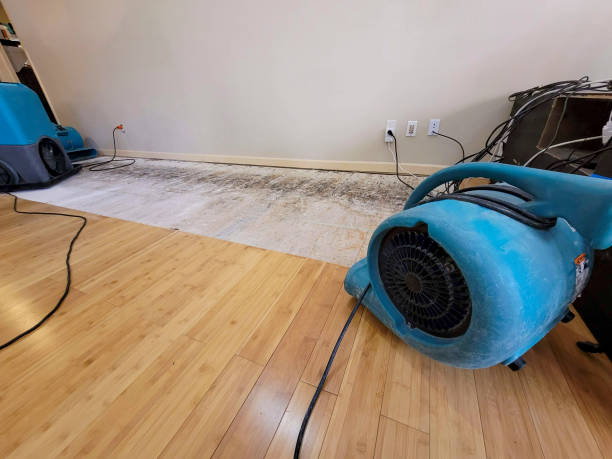 Professional Flood Damage Cleanup technician working in Stanton, TX
